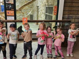 2025-05-20 Biedronki w ZOO